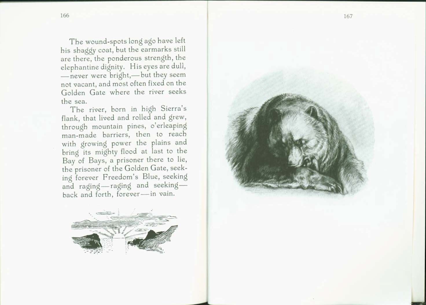 MONARCH, the Big Bear of Tallac in the Lake Tahoe High Sierra.&nbsp;vist0040k